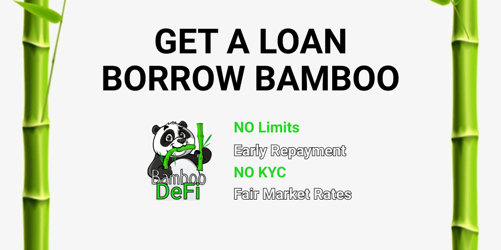 How to Get Cash Without Cashing Out BAMBOO tokens?
