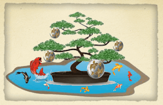 Bonsai money tree.