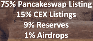 initial allocation of DOGESNFT Tokens