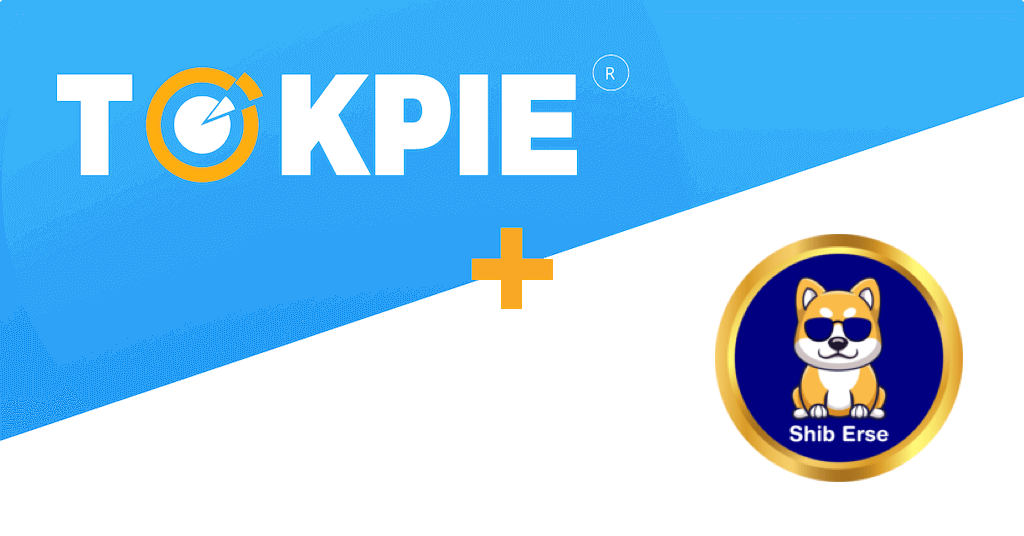 Meet the SHIBerse: SHIBER Token