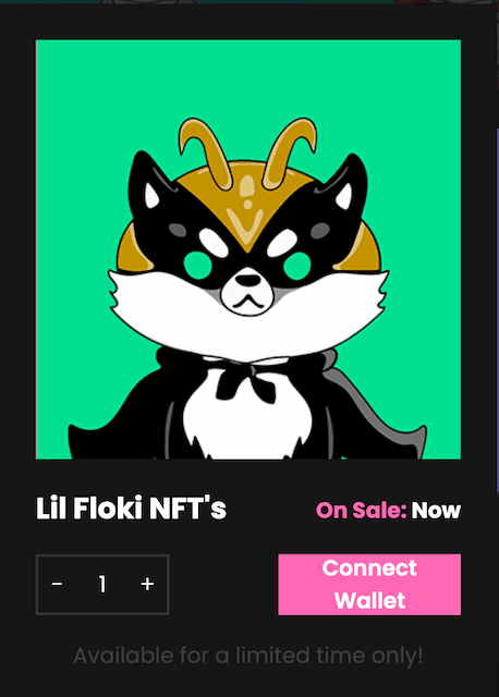 minting NFT from lilfloki platform